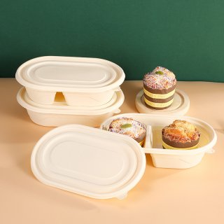生分解性エコ弁当箱 二段弁当箱